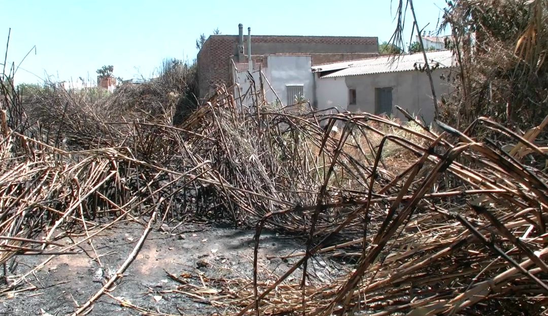 Estado en el que se encuentra el arroyo Mestanza Estado en el que se encuentra el arroyo Mestanza