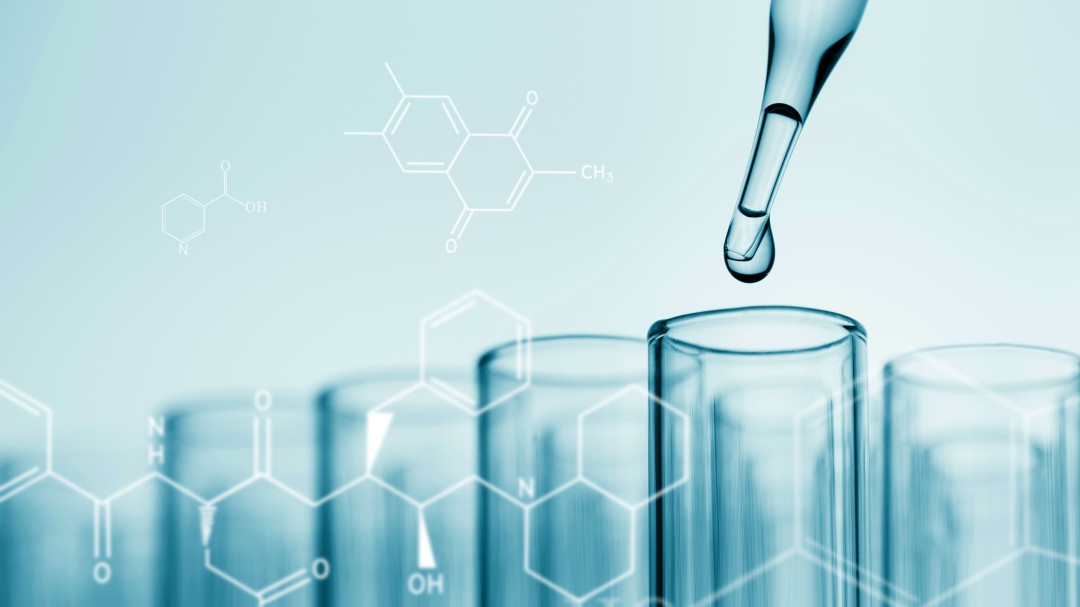 Ultraprocesados, Bisfenol A y transgénicos a debate