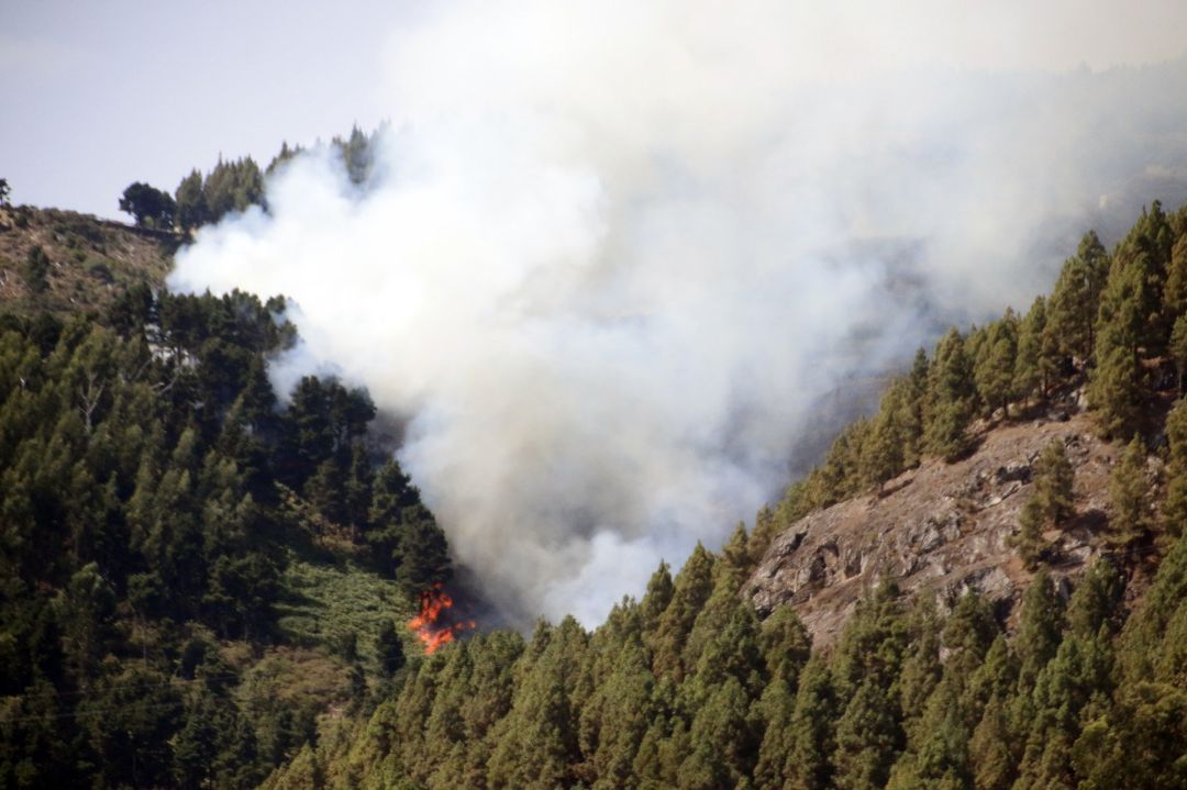 El calor y el viento dificultan los trabajos en el incendio de Gran Canaria, con 50 localidades desalojadas El calor y el viento dificultan los trabajos en el incendio de Gran Canaria, con 50 localidades desalojadas