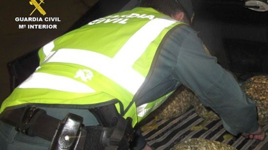 26 investigados por comercialización de coquinas contaminadas