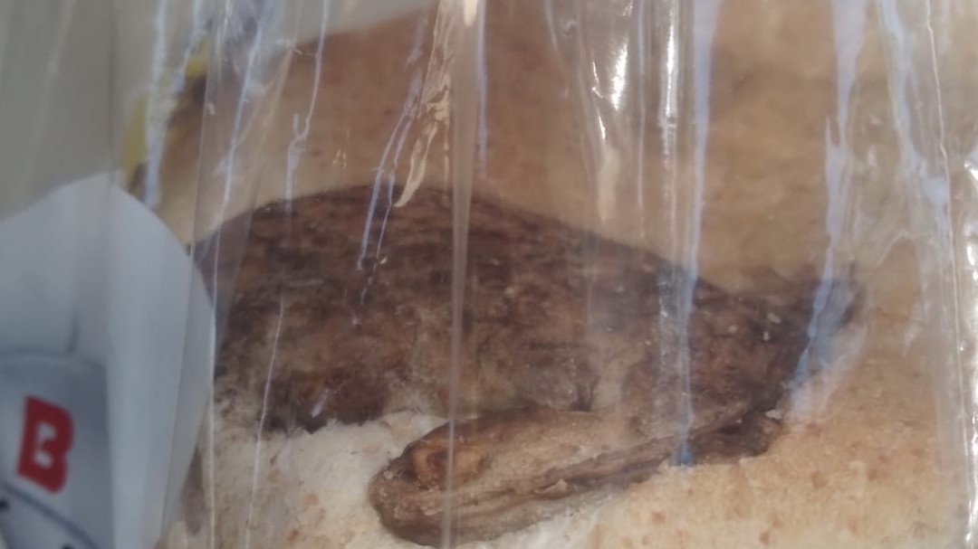 La "rana muerta" en el interior de un envase de pan de molde era en realidad un resto de masa de pan quemada