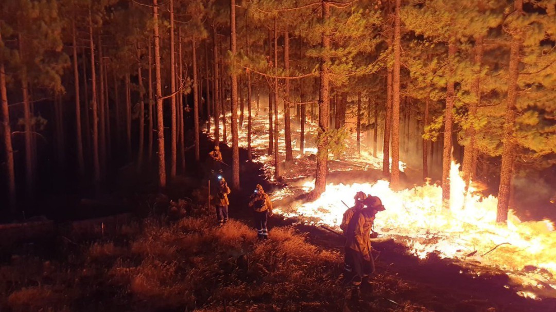 Los peores incendios de 2019