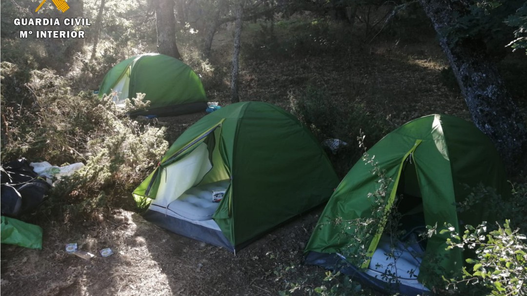 Cinco personas detenidas por la incautación de 1.500 plantas de marihuana