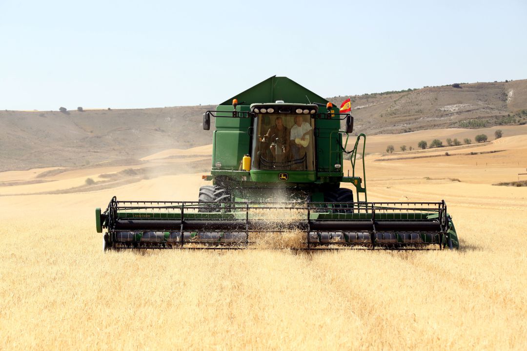 Cosechadora de cereal trabajando en un campo de Castilla y León Cosechadora de cereal trabajando en un campo de Castilla y León