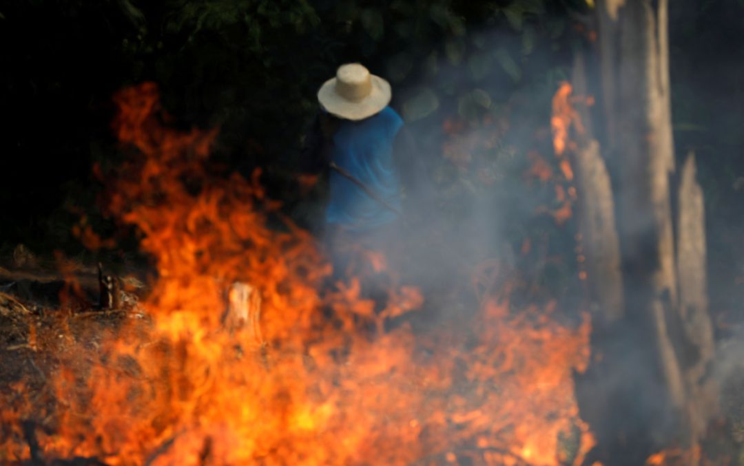 Los incendios en el Amazonas de estas semanas son de los peores de los últimos años. Los incendios en el Amazonas de estas semanas son de los peores de los últimos años.