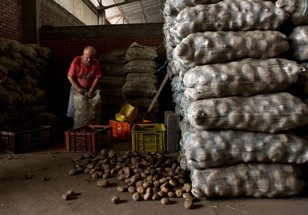El sector agrícola busca alternativas en Dinamarca ante un posible Brexit duro