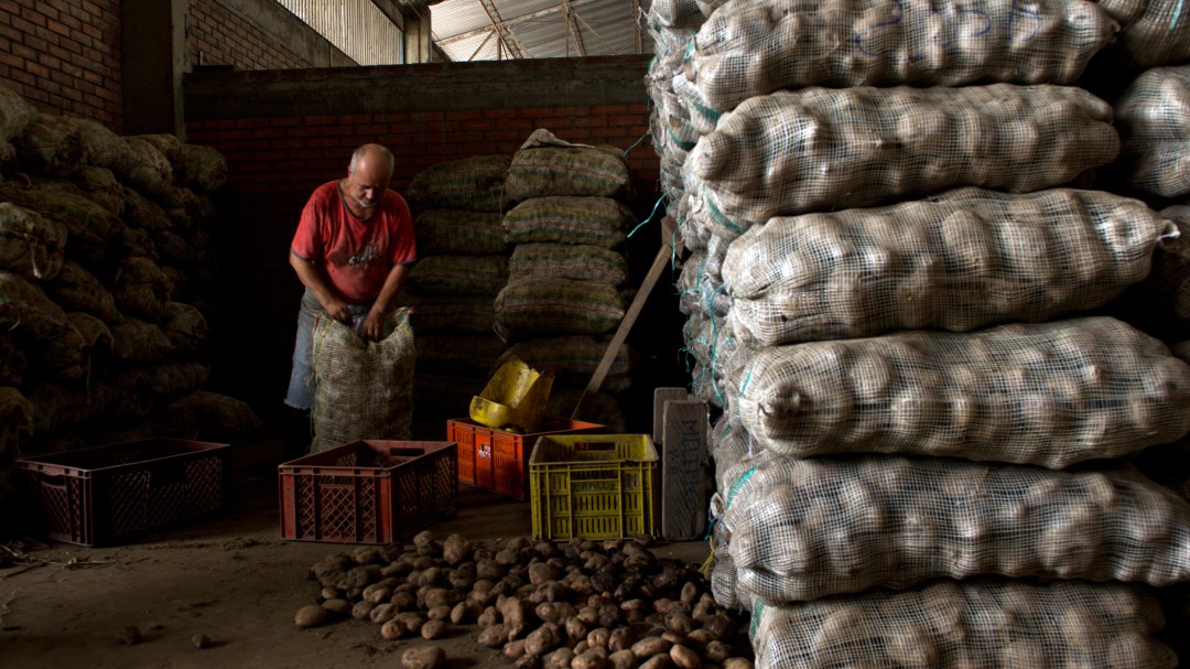 El sector agrícola busca alternativas en Dinamarca ante un posible Brexit duro