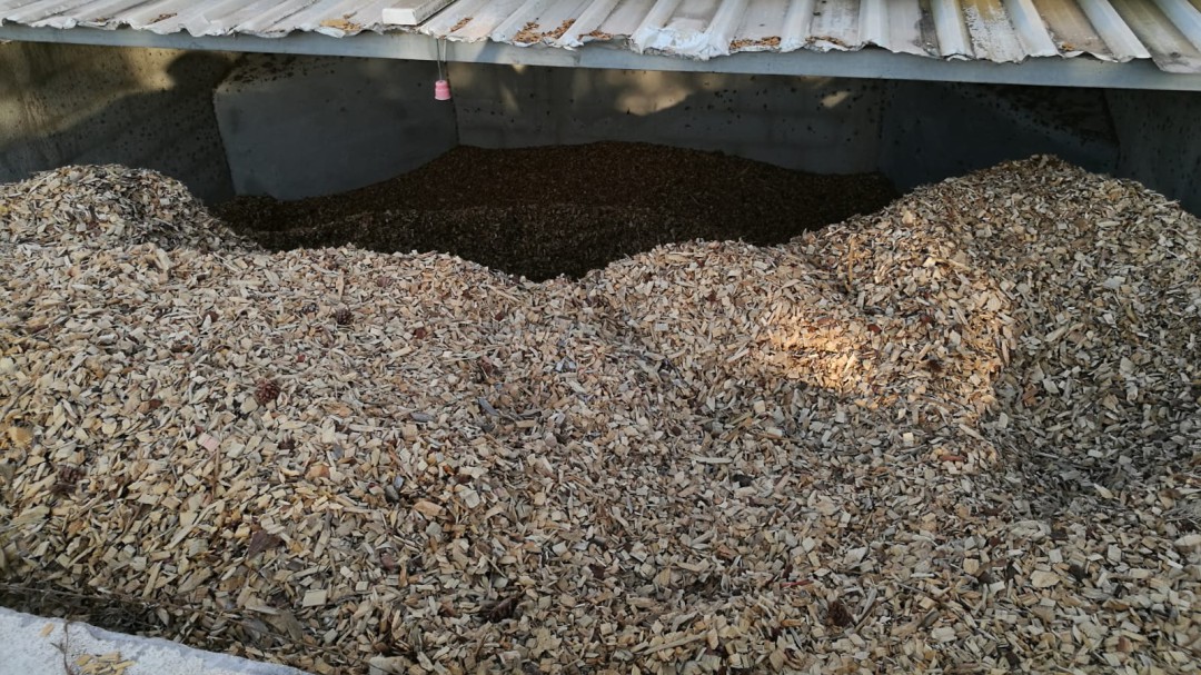 Biomasa de 'kilómetro cero' para alimentar las calderas de las piscinas municipales de Sant Josep