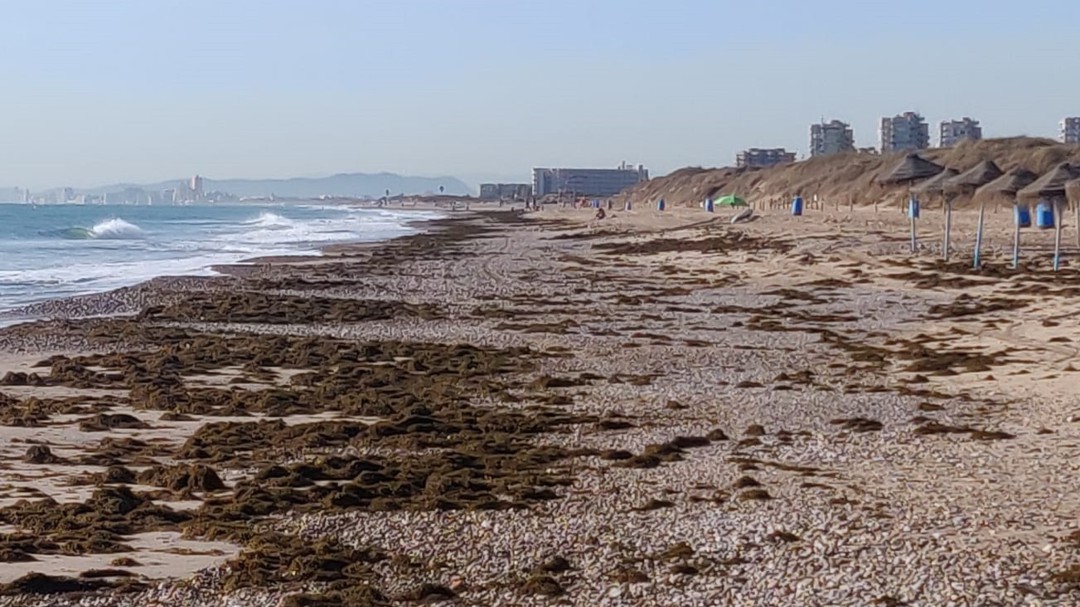 Así han amanecido este jueves las playas del sur de Valencia