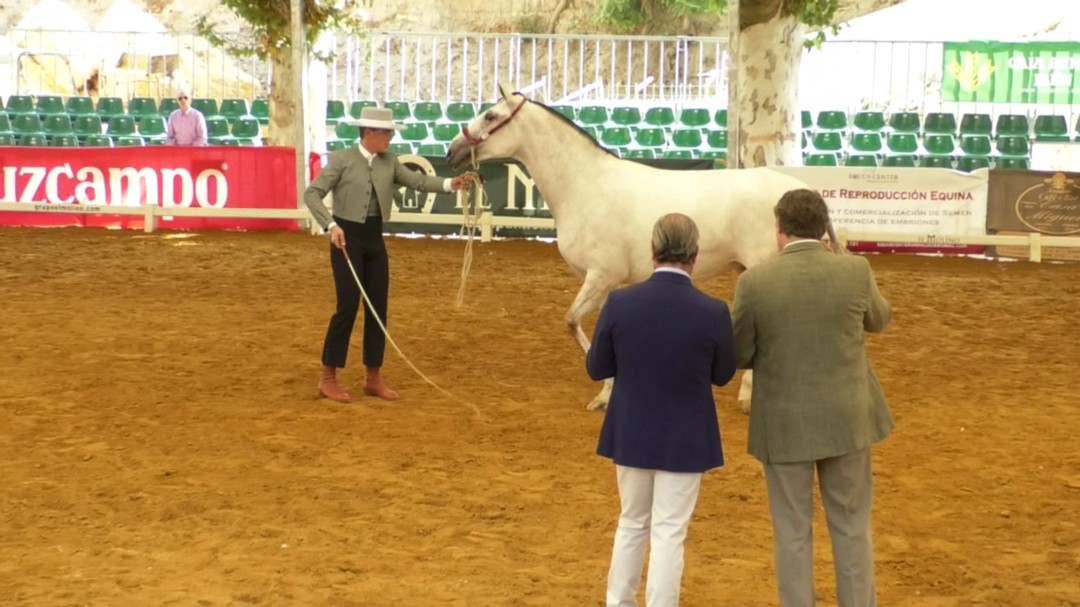 Se ultiman los preparativos para la celebración de Anducab 2019 que este año coincidirá con la Feria de Septiembre