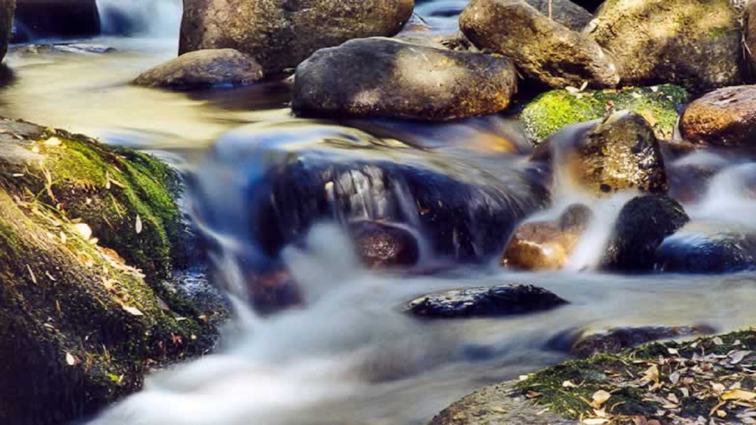 Mejoran la limpieza y conservación del entorno del río Guadarrama