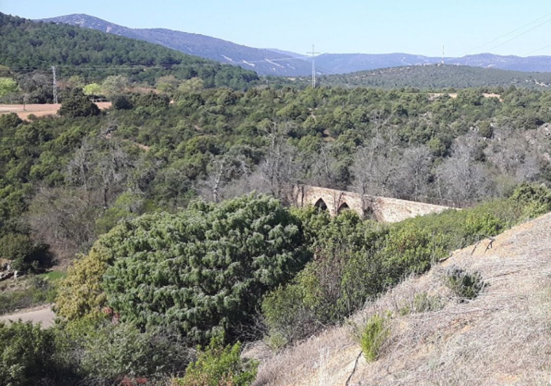 Muere un hombre de 45 años por un disparo en una finca de Toledo
