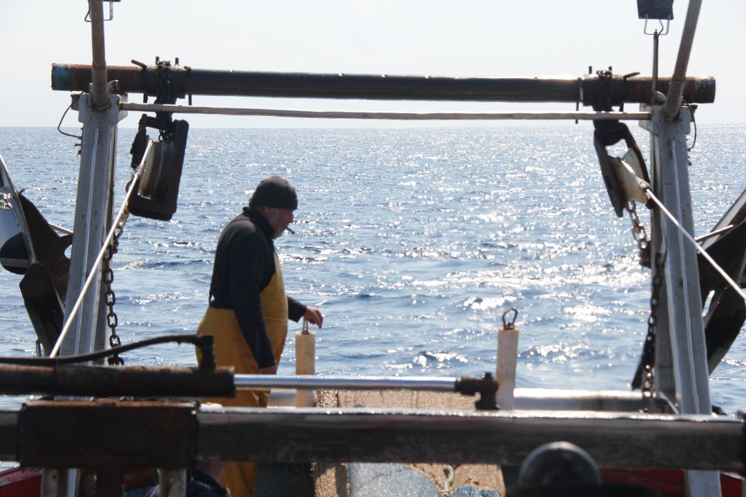 Alicante, a la cabeza de la lucha contra la contaminación del mar Alicante, a la cabeza de la lucha contra la contaminación del mar