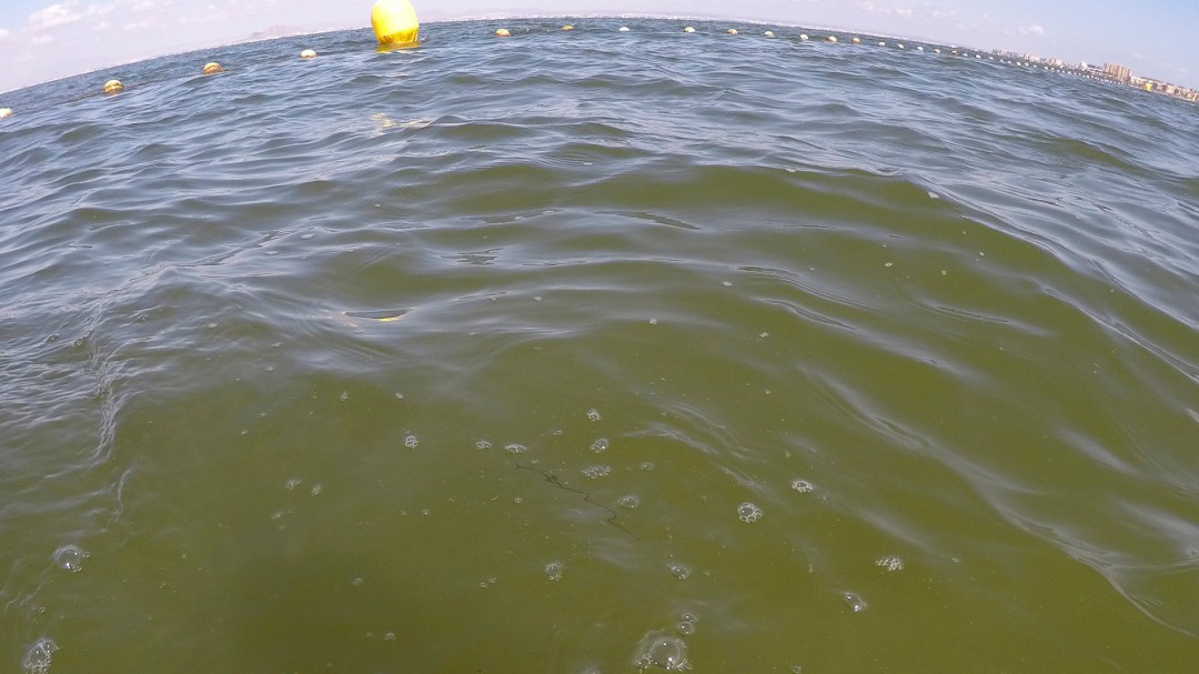 El Mar Menor se vuelve a teñir de verde