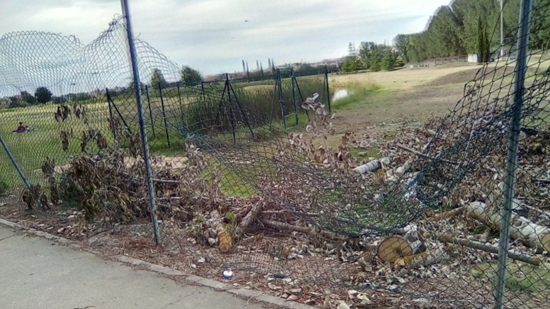 Un vecino coloca carteles alertando del riesgo de caída de árboles en la orilla del río junto al Ribera Sur