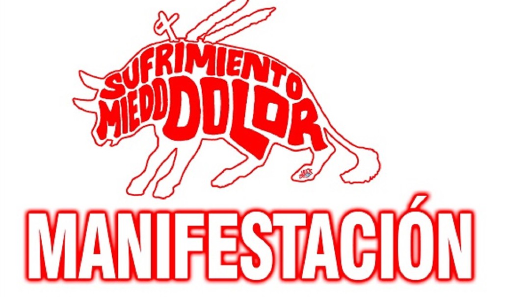 Antitaurinos: "La tortura, ni es arte ni es cultura"