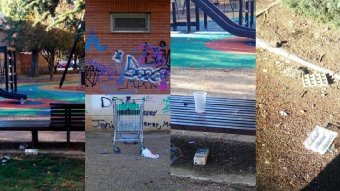 Vox planteará que se dote a Palencia de una ordenanza para la protección del medio urbano