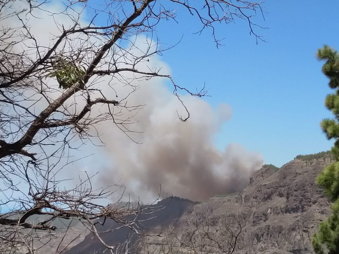 extinguido incendio artenara gran canaria: Controlado el incendio de Valleseco y extinguidos los dos primeros extinguido incendio artenara gran canaria: Controlado el incendio de Valleseco y extinguidos los dos primeros