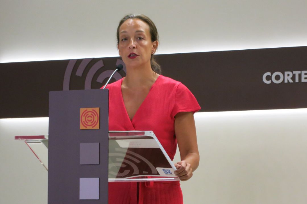 La diputada del PP, Carmen Susín. La diputada del PP, Carmen Susín.