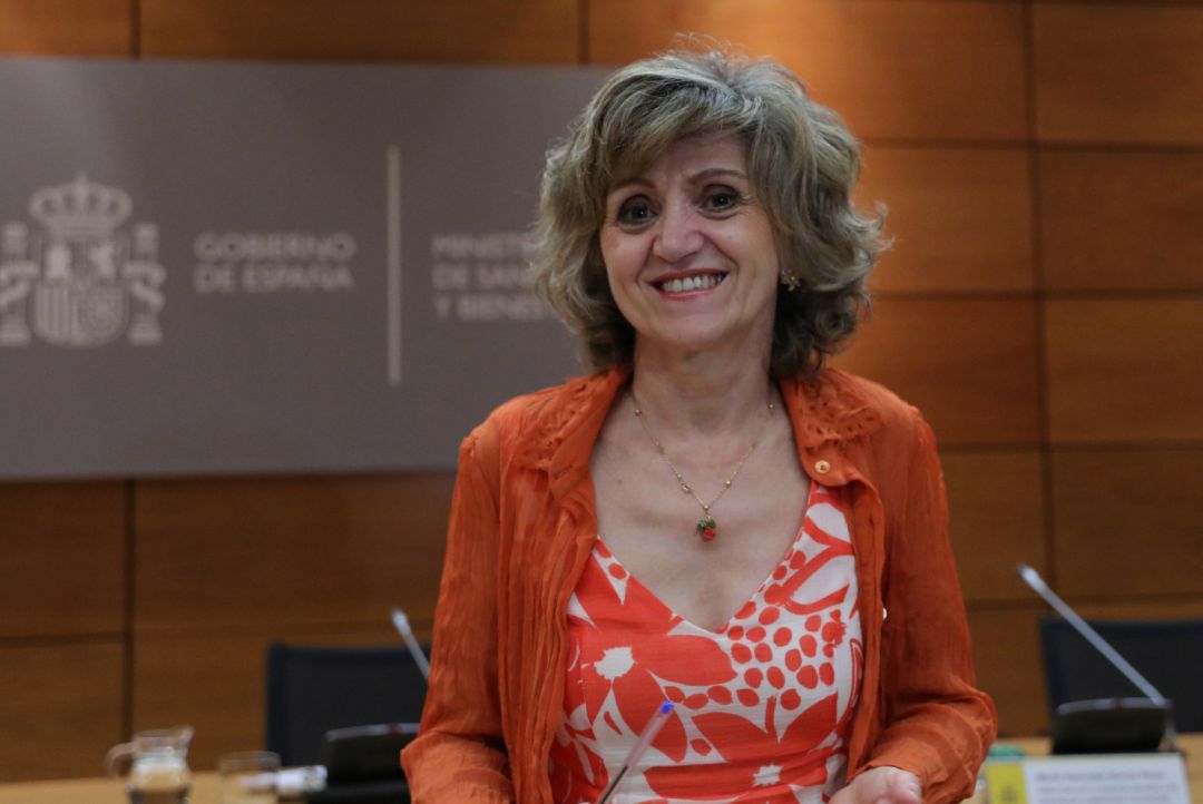 La ministra de Sanidad en funciones, María Luisa Carcedo durante la reunión de este lunes La ministra de Sanidad en funciones, María Luisa Carcedo durante la reunión de este lunes