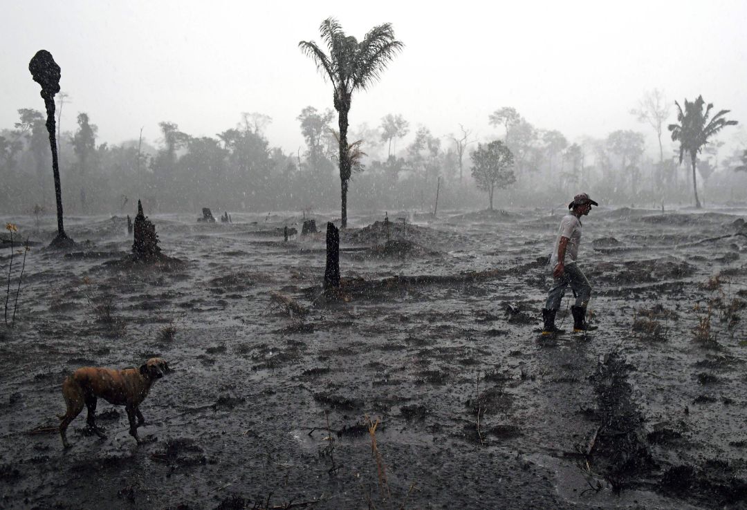 Incendio de la Amazonia Incendio de la Amazonia