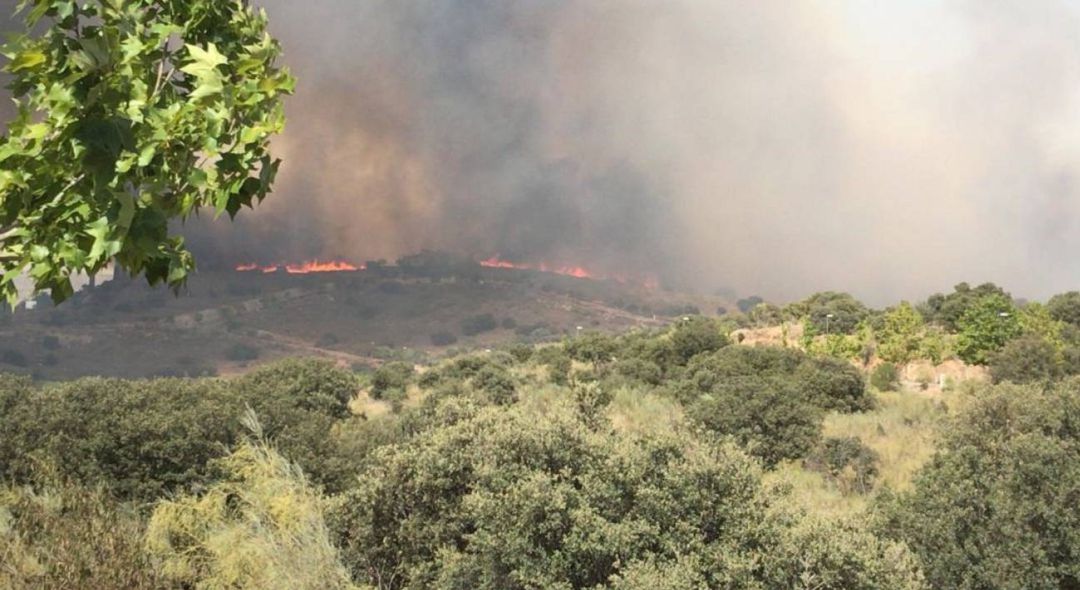 Un año después del incendio que mantuvo en vilo a la ciudad de Toledo Un año después del incendio que mantuvo en vilo a la ciudad de Toledo