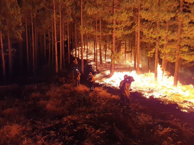 Incendio de Gran Canaria. Incendio de Gran Canaria.