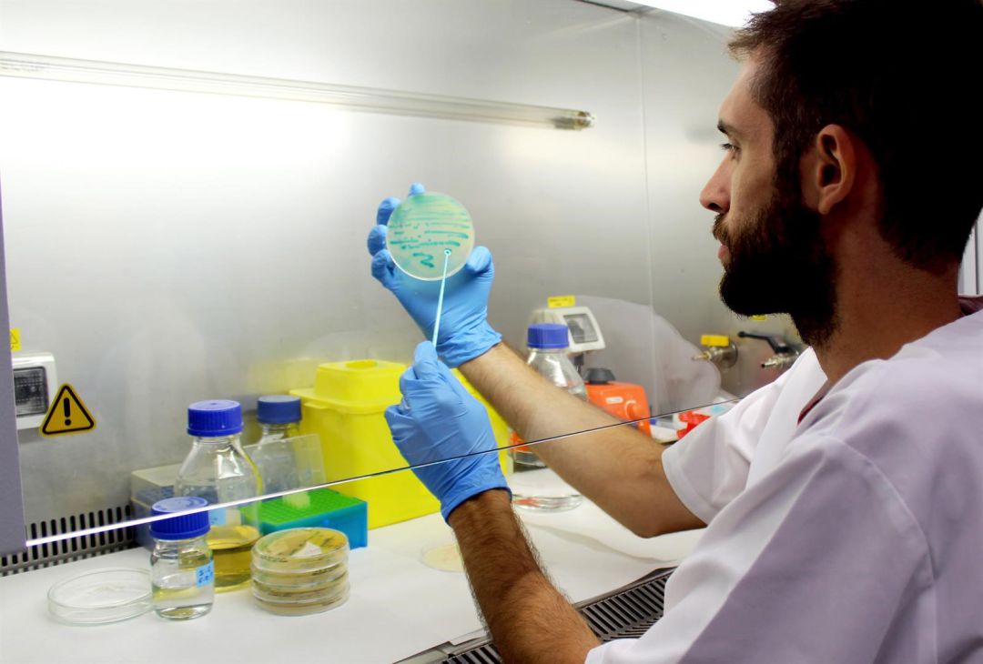 La investigación, seña de identidad de la UGR La investigación, seña de identidad de la UGR