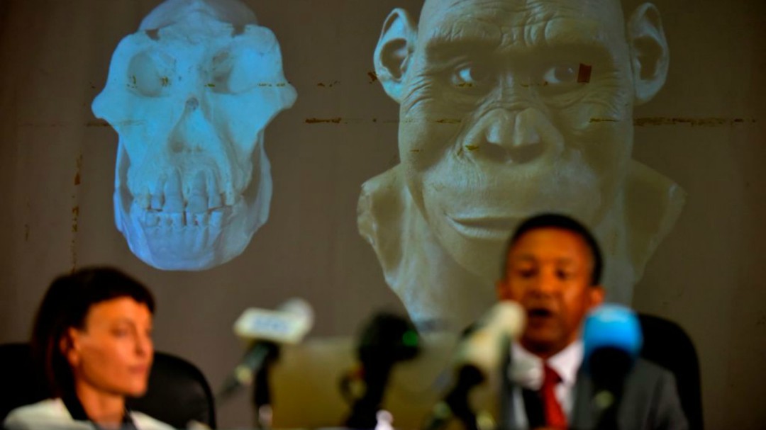 Descubren en Etiopía un cráneo de 'Australopithecus anamensis' de 3,8 millones de años