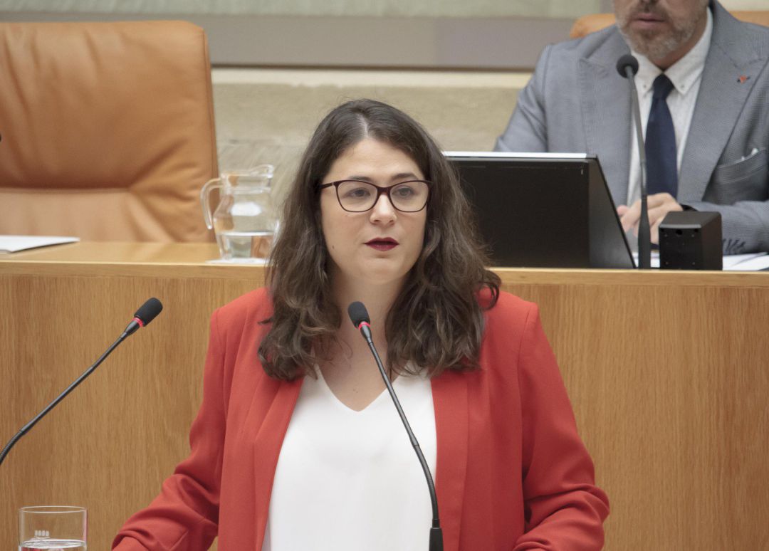 La diputada de Podemos-Equo, Raquel Romero Alonso, durante su intervención en la segunda sesión del debate de investidura de la candidata socialista, Concha Andreu, a la Presidencia de La Rioja. La diputada de Podemos-Equo, Raquel Romero Alonso, durante su intervención en la segunda sesión del debate de investidura de la candidata socialista, Concha Andreu, a la Presidencia de La Rioja.