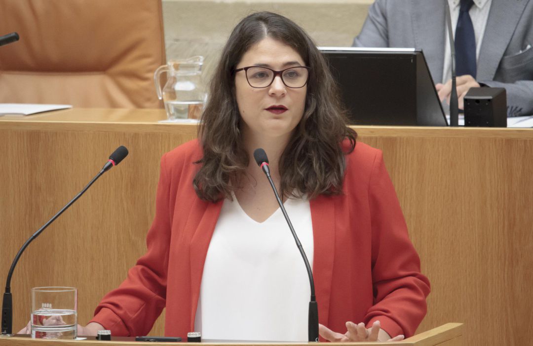 La diputada Raquel Romero Alonso durante su intervención en la segunda sesión del debate de investidura de la candidata socialista, Concha Andreu La diputada Raquel Romero Alonso durante su intervención en la segunda sesión del debate de investidura de la candidata socialista, Concha Andreu