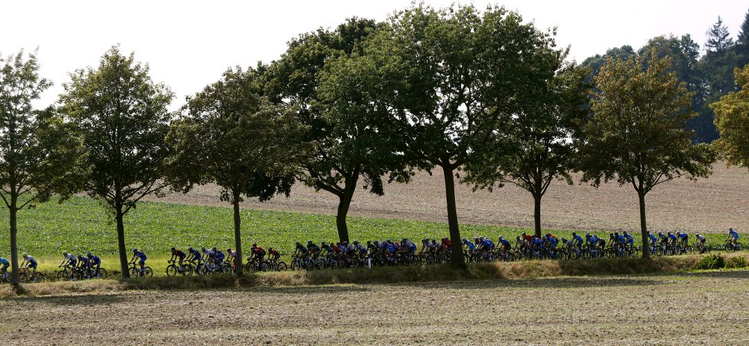 Este fin de semana, ruta 'San Bicicleto' en Humanes Este fin de semana, ruta 'San Bicicleto' en Humanes