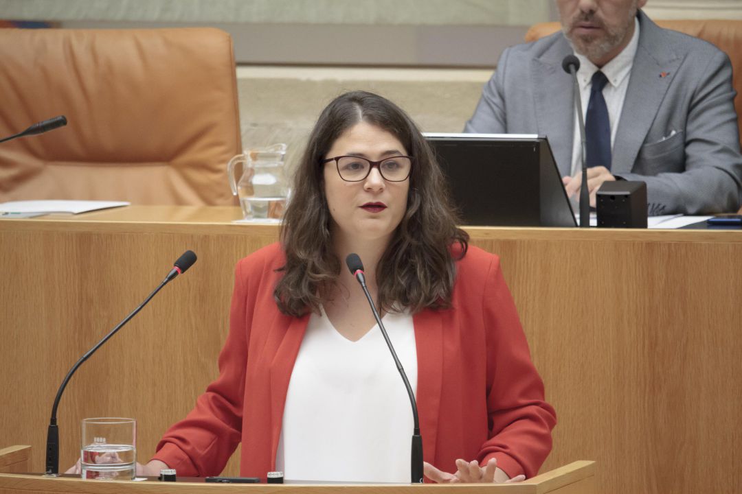 La diputada de Podemos-Equo, Raquel Romero Alonso, durante su intervención en la segunda sesión del debate de investidura de la candidata socialista, Concha Andreu, a la Presidencia de La Rioja. La diputada de Podemos-Equo, Raquel Romero Alonso, durante su intervención en la segunda sesión del debate de investidura de la candidata socialista, Concha Andreu, a la Presidencia de La Rioja.