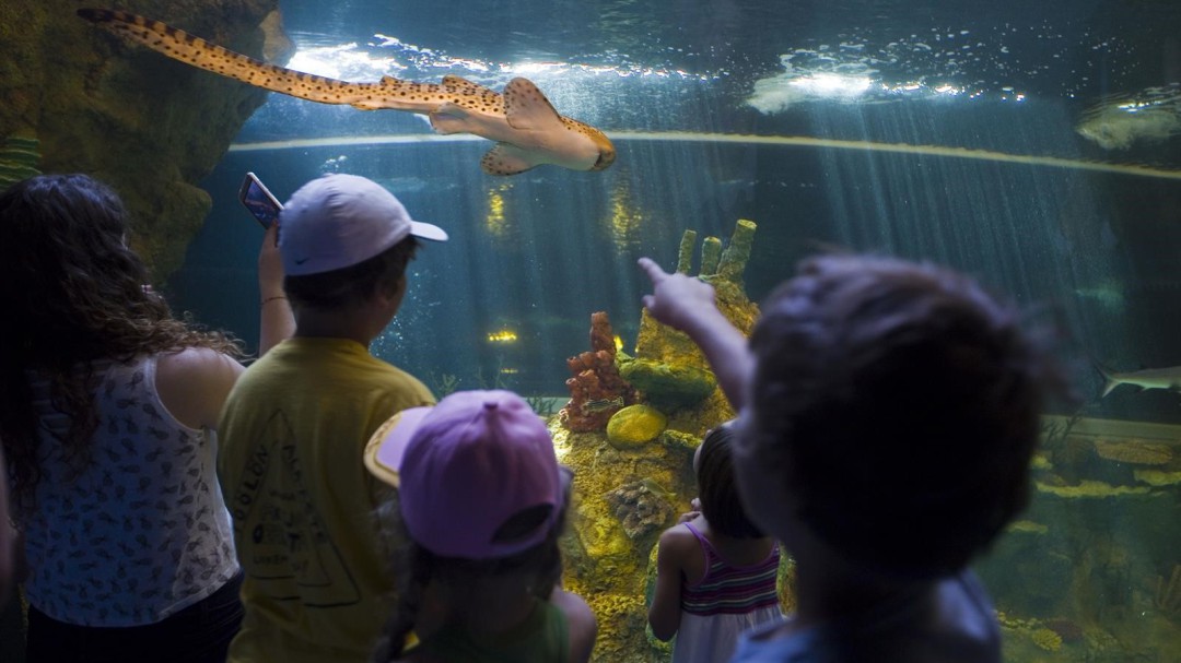El Parque de las Ciencias seduce al mundo en un verano con récord de visitas
