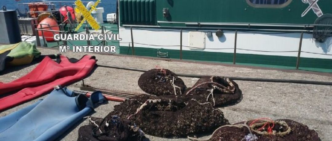 A Coruña: Xunta y cofradías piden sanciones más duras ante el repunte del furtivismo A Coruña: Xunta y cofradías piden sanciones más duras ante el repunte del furtivismo