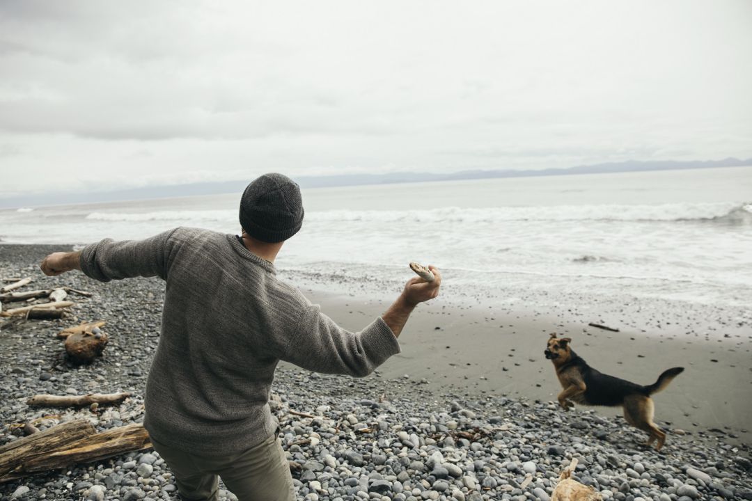 Mueren varios perros envenenados en la playa de Bolnuevo de Mazarrón Mueren varios perros envenenados en la playa de Bolnuevo de Mazarrón