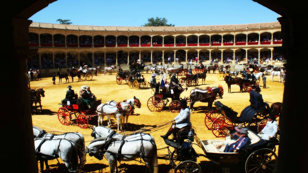 Presentan el XLIII Concurso-Exhibición de Enganches de Ronda