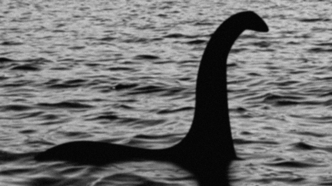 El monstruo del Lago Ness podría ser una anguila gigante
