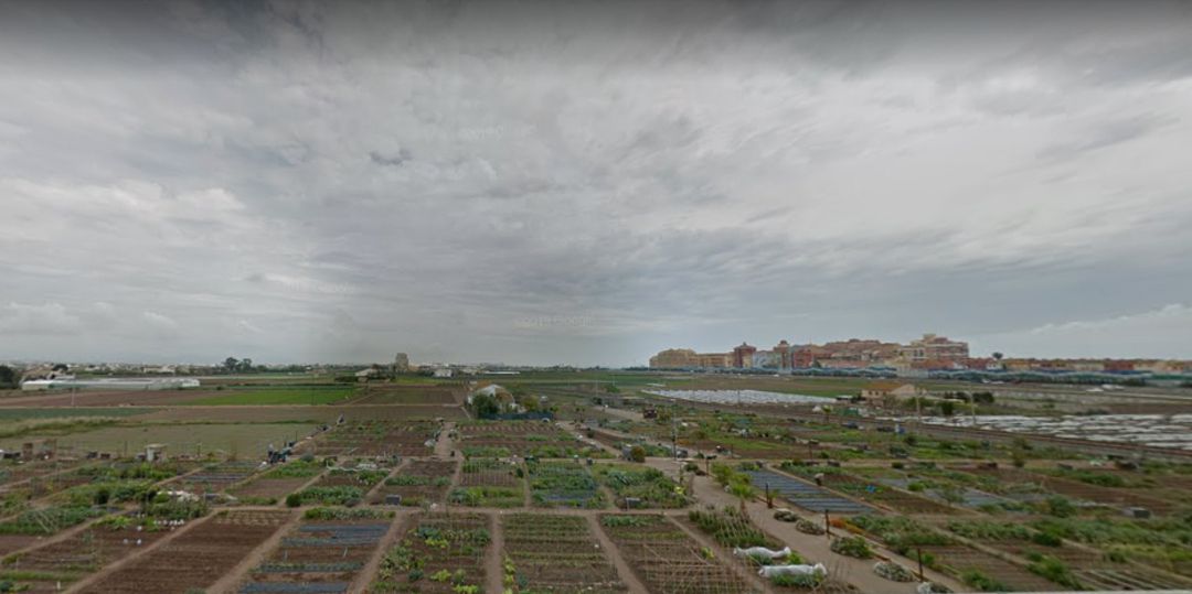 Per l'Horta denuncia que Alboraya quiere arrasar con la huerta protegida Per l'Horta denuncia que Alboraya quiere arrasar con la huerta protegida