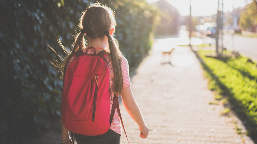 Vuelta al cole Vuelta al cole