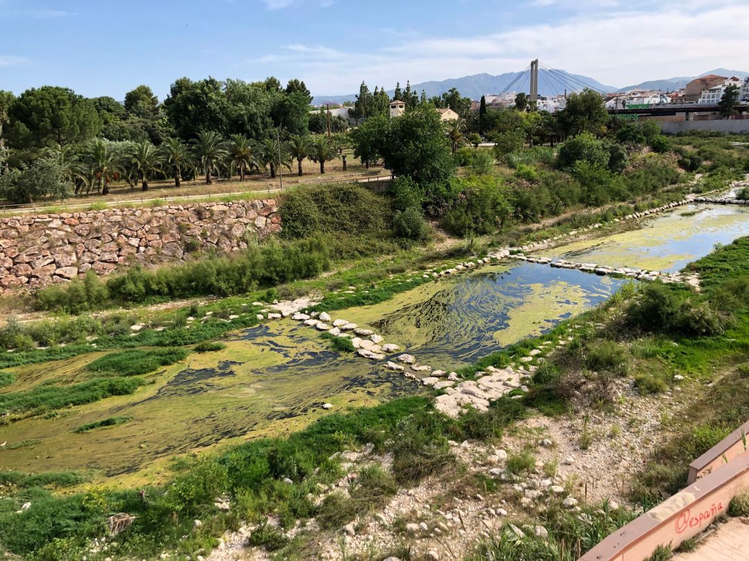 Imagen de archivo del río Serpis a su paso por Gandia. Imagen de archivo del río Serpis a su paso por Gandia.