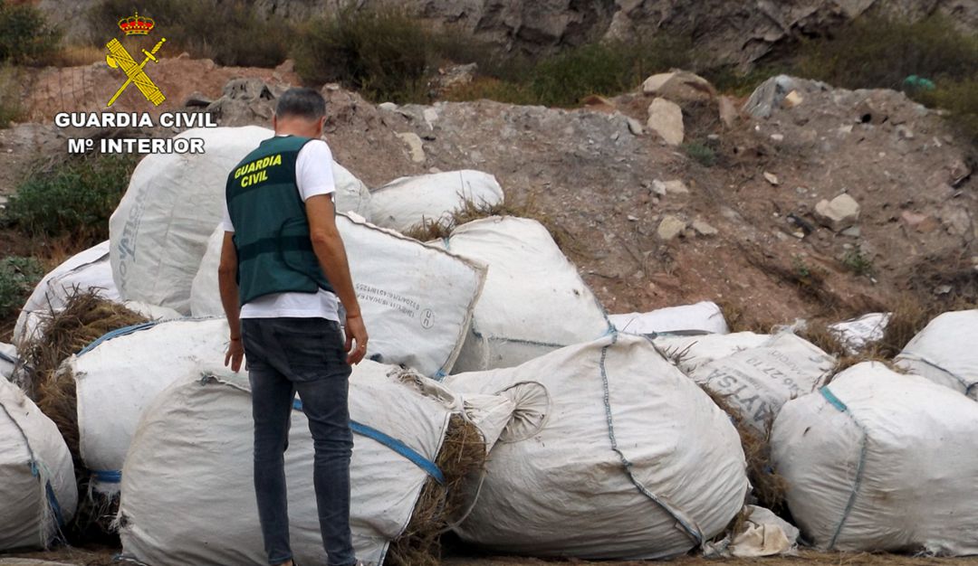 Investigado un empresario agrícola por el robo de 9 toneladas de romero en Lorca Investigado un empresario agrícola por el robo de 9 toneladas de romero en Lorca