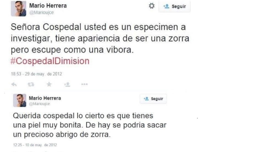 Los polémicos tuits de Mario Herrera, director general de Podemos