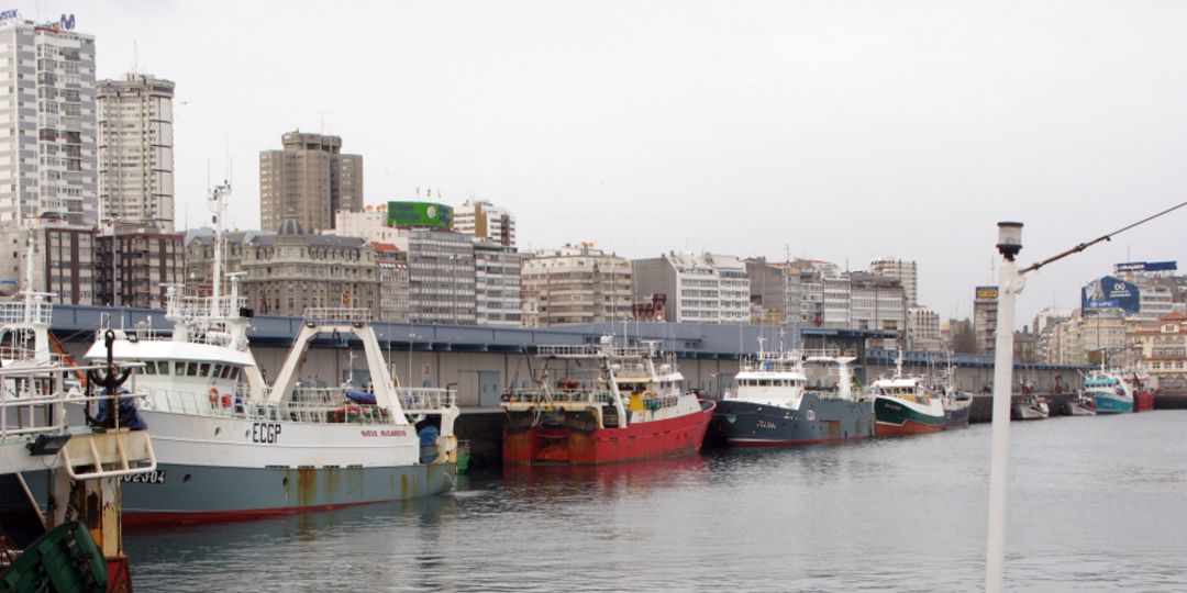Barcos de Pesca en uno de los muelles del puerto de A Coruña Barcos de Pesca en uno de los muelles del puerto de A Coruña