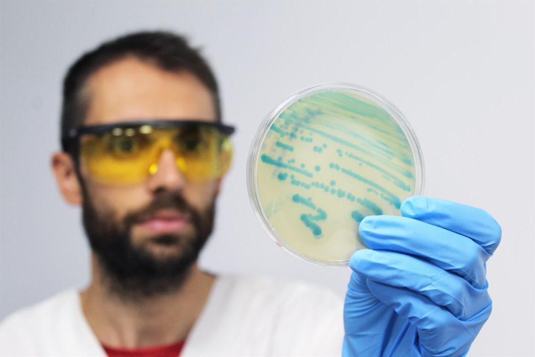 Salut confirma un caso de listeria en Mallorca en un paciente ingresado en una clínica privada Salut confirma un caso de listeria en Mallorca en un paciente ingresado en una clínica privada