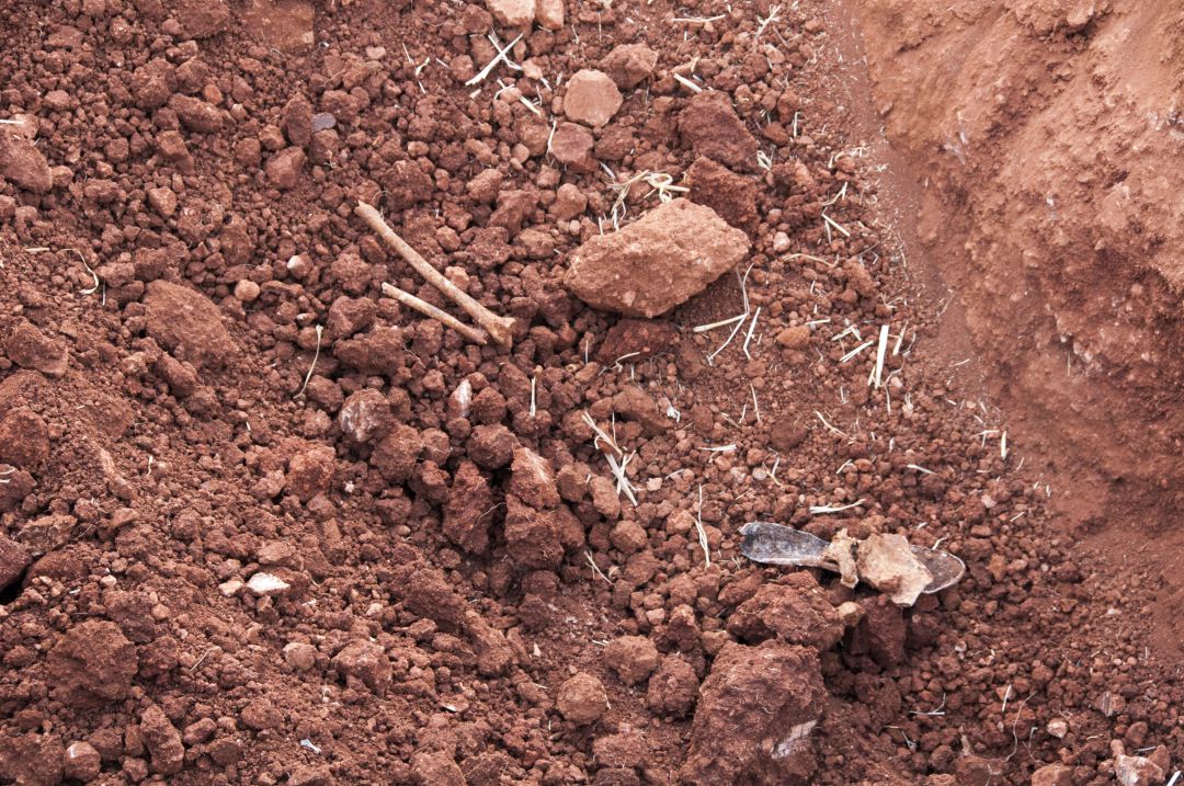 Se abren diligencias por los asesinatos de La Riba de Escalote en 1936 Se abren diligencias por los asesinatos de La Riba de Escalote en 1936