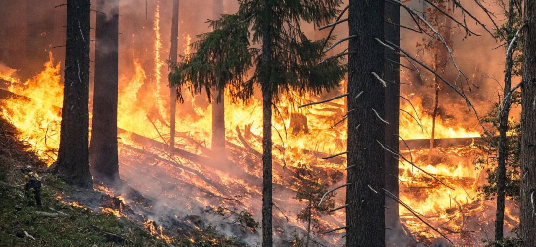 Incendio Forestal Incendio Forestal
