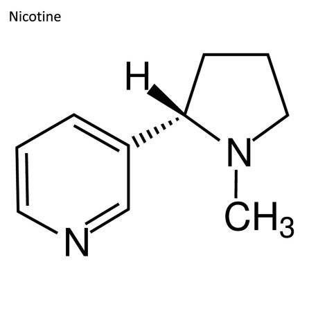 La fórmula de la nicotina La fórmula de la nicotina