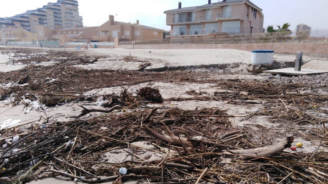 El Ayuntamiento de Cartagena cierra las playas mediterráneas de La Manga por la llegada de atunes muertos
