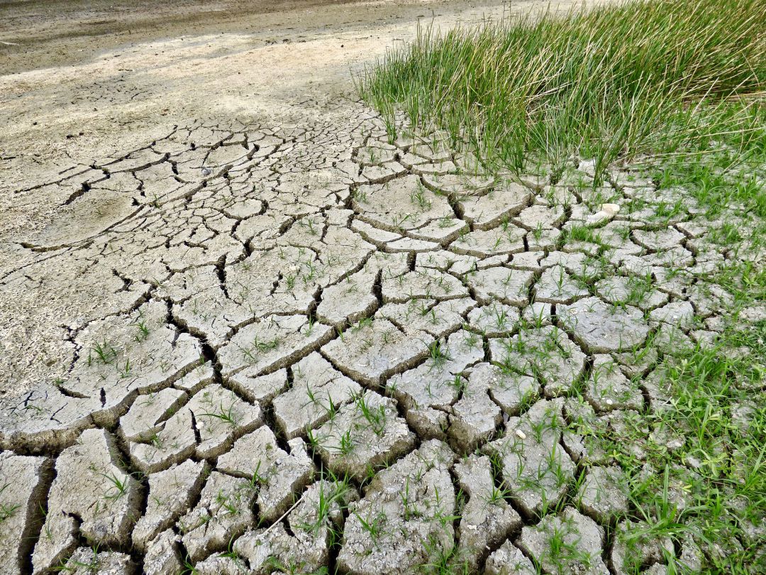 Ecologistas en acción de Navarra se suma a la huelga mundial por el clima Ecologistas en acción de Navarra se suma a la huelga mundial por el clima